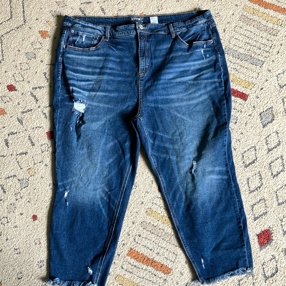Terra & Sky jeans size 26w